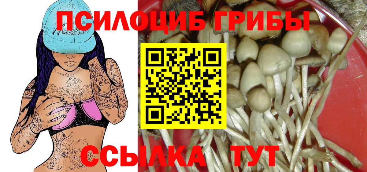 Отрадное  Псилоцибиновые грибы Magic Shrooms  Псилоцибиновые грибы Magic Shrooms  Вход с VPN 