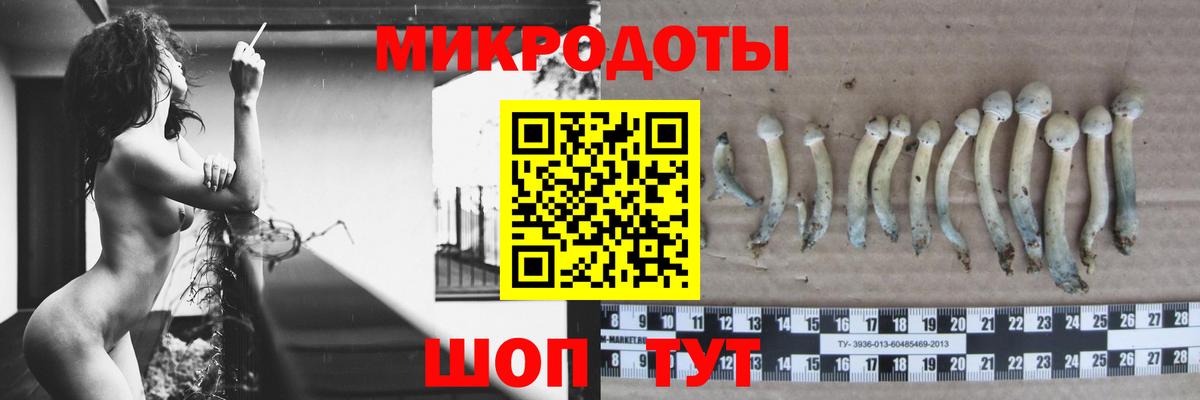 Галлюциногенные грибы Magic Shrooms Отрадное