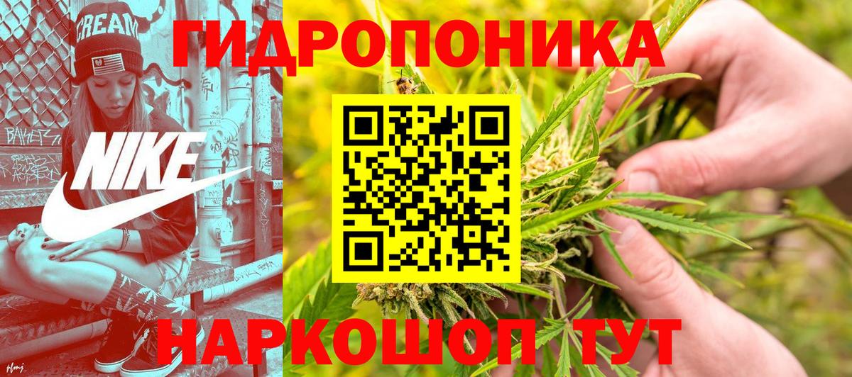 Бошки Шишки LSD WEED  Каннабис тримм  Вход с VPN  Канабис SATIVA & INDICA  Канабис сатива  Отрадное 